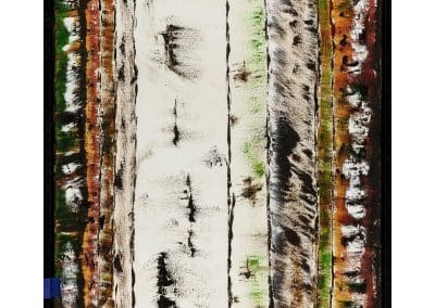 Paul Price