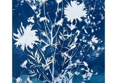 Liz St Andre