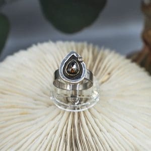 Katie Leute - Reliquary Ring V