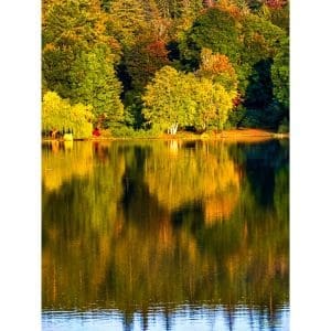 Larey McDaniel - Autumn Reflections