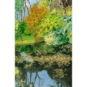 Ginger Carter - Forest Pond