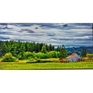 Lisa Marie Kostal - San Juan Island