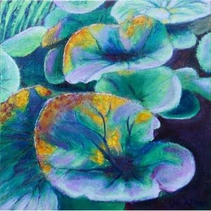 David Allen - Light Through Butterbur Leaves