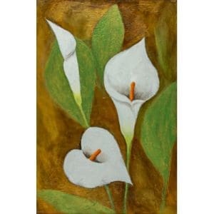 Hilda Bordianu - Elegance Unfolded