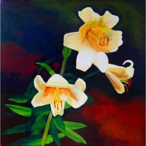 David Allen - Summer Camp Lilies