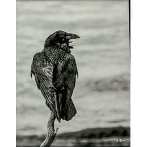 Jeff Lane - The Raven
